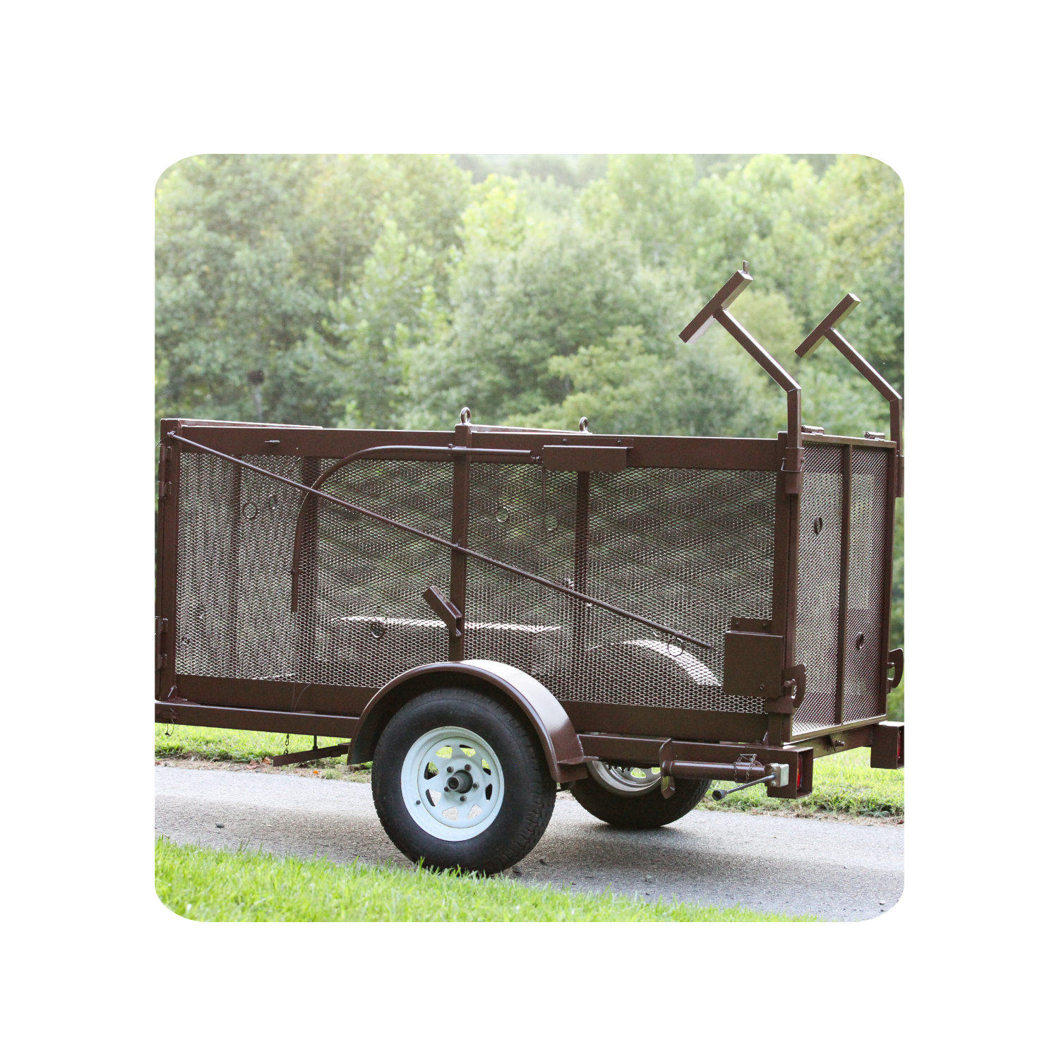 Modified Cambrian style bear trap with advanced design features